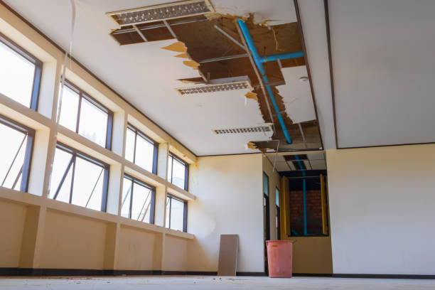 Best Water damage cleanup near me  in Melody Hill, IN