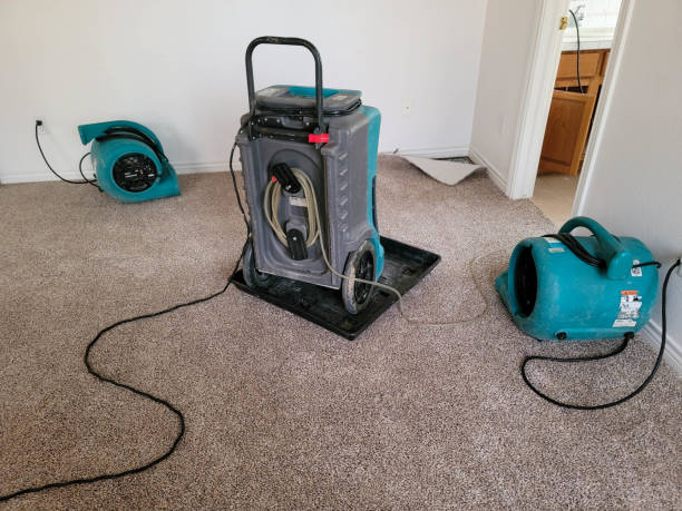 Best Commercial water damage restoration  in Melody Hill, IN