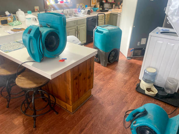 Best Emergency water damage restoration  in Melody Hill, IN