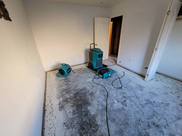 Best Sewage cleanup and water damage restoration  in Melody Hill, IN