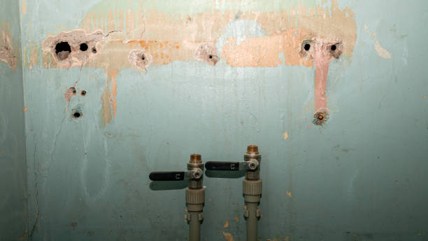 Best 24/7 water damage repair  in Melody Hill, IN
