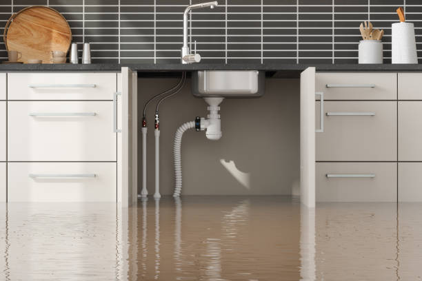 Best Local water damage restoration  in Melody Hill, IN
