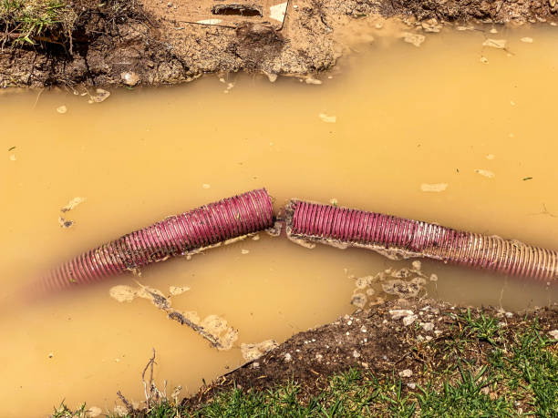 Best Water damage restoration experts  in Melody Hill, IN
