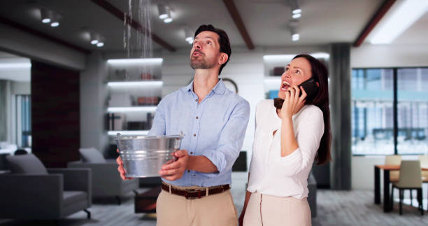 Best Water damage restoration near me  in Melody Hill, IN