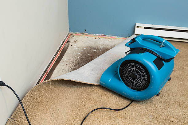 Fire Damage Restoration in IN