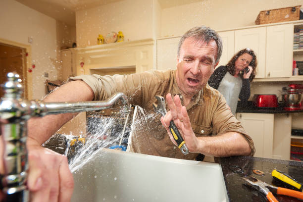 Best Local water damage restoration  in Melody Hill, IN